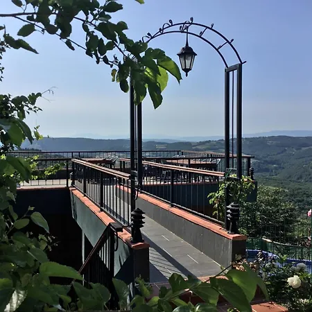 Nerry's Garden - Camellia *