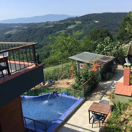 Nerry's Garden - Camellia Izmit