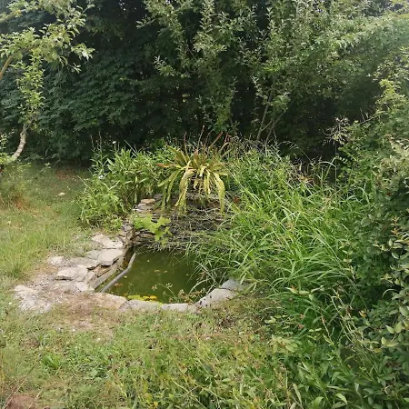 Holiday home Nerry's Garden - Camellia Izmit