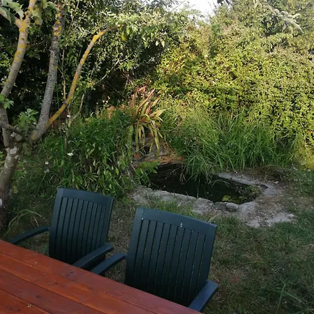 Holiday home Nerry's Garden - Camellia Izmit
