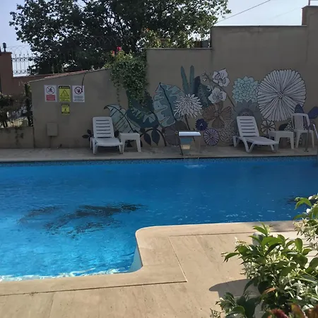 Nerry's Garden - Camellia * Izmit