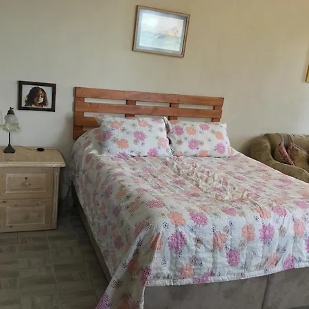 Nerry's Garden - Camellia