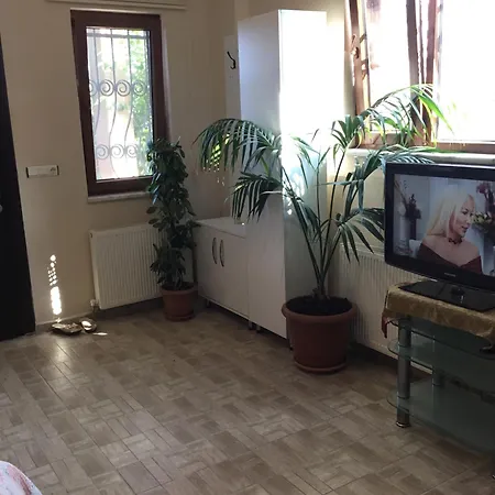 Nerry's Garden - Camellia Holiday home Izmit