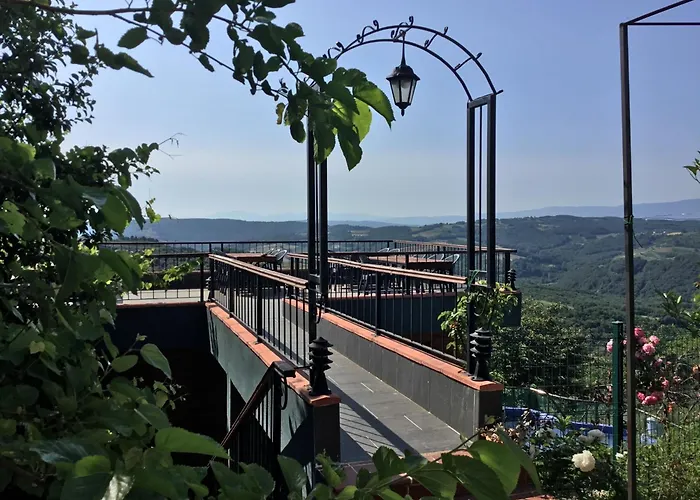 Nerry's Garden - Camellia *