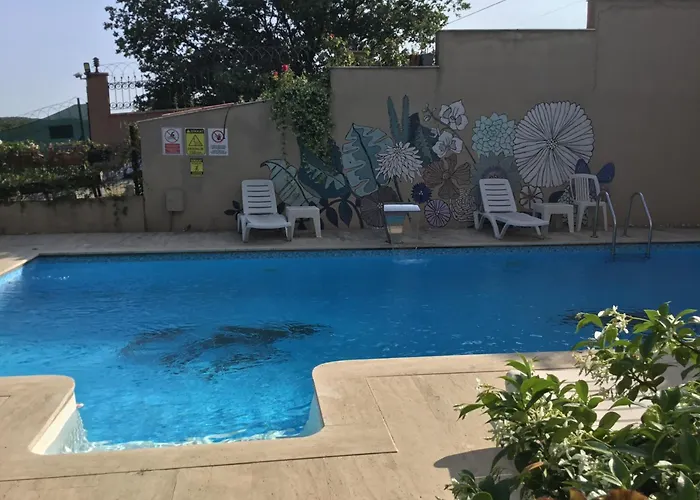 Nerry's Garden - Camellia * 伊兹密特