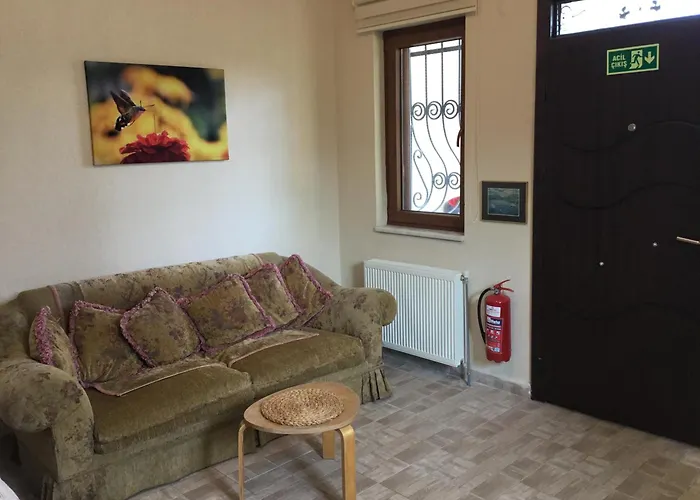 Nerry's Garden - Camellia 度假居 伊兹密特