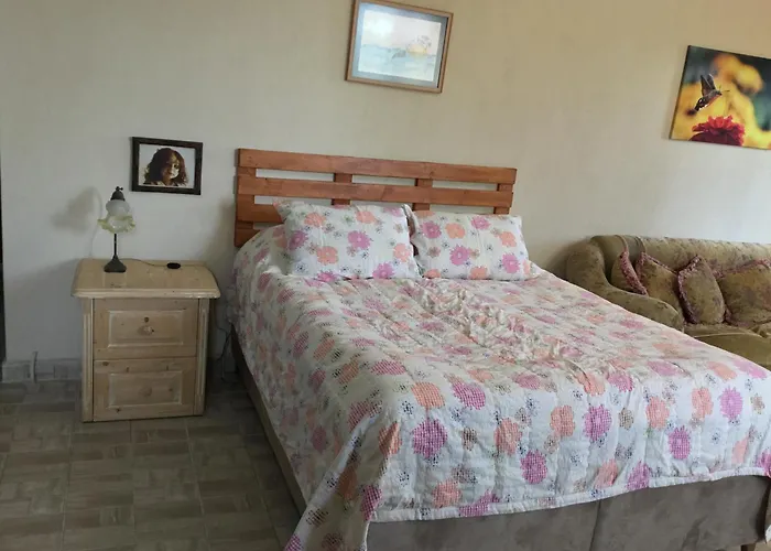 Nerry's Garden - Camellia