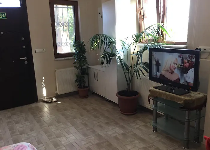 Nerry's Garden - Camellia 度假居 伊兹密特