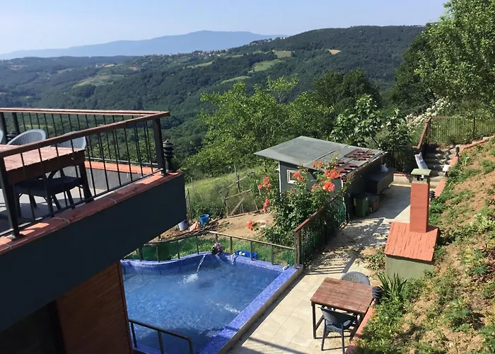 Nerry's Garden - Camellia 伊兹密特