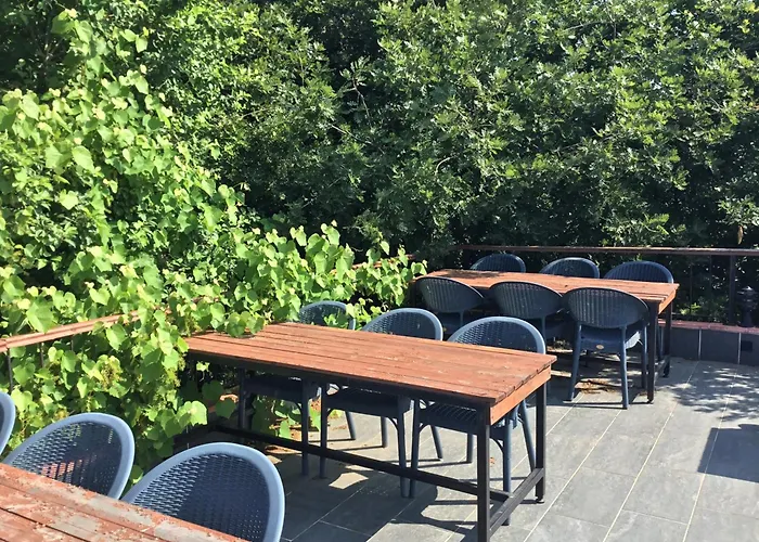 Nerry's Garden - Camellia *